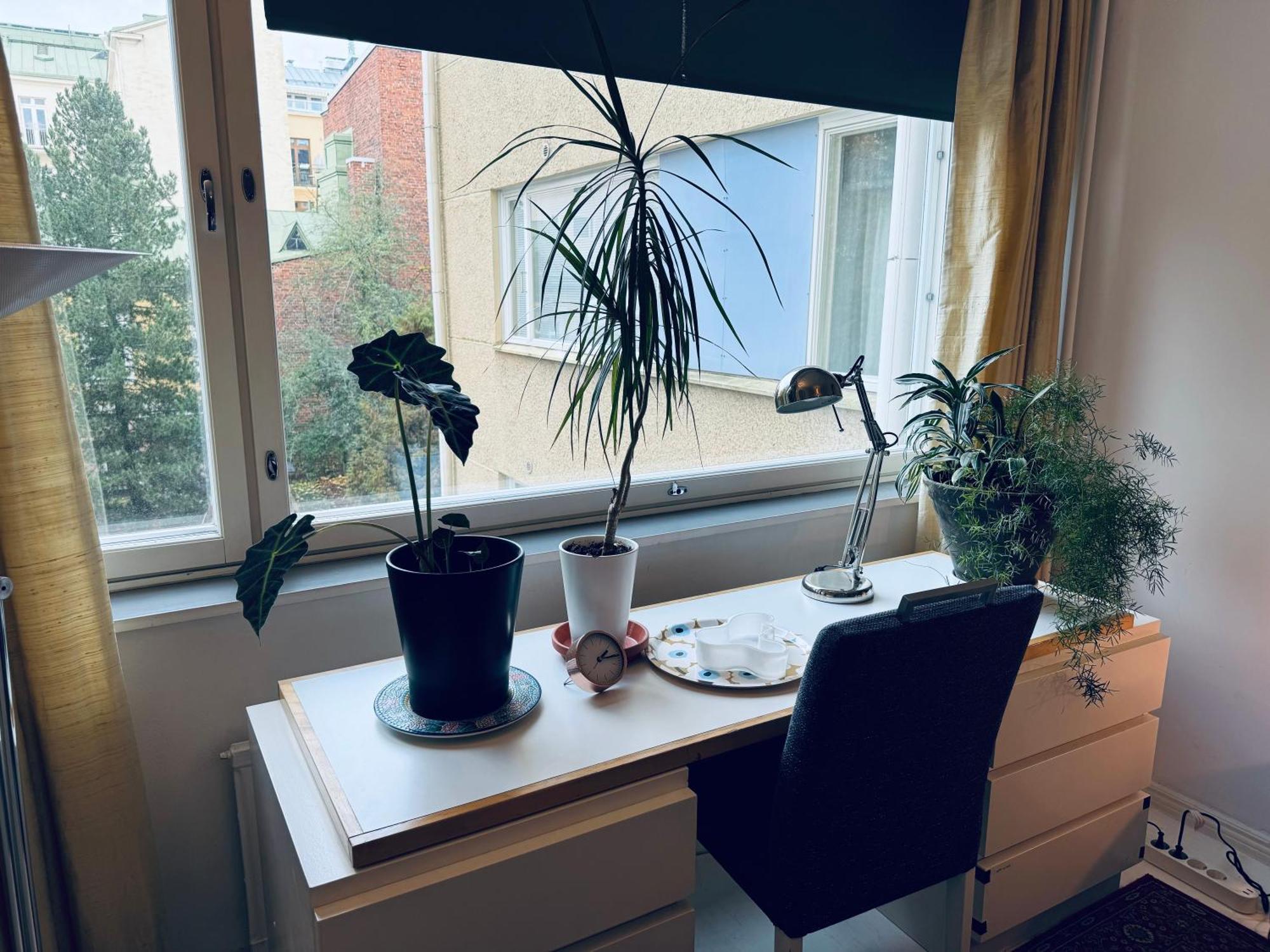 Lovely Apartment, Vuorimiehenkatu 31 Helsinki Ngoại thất bức ảnh